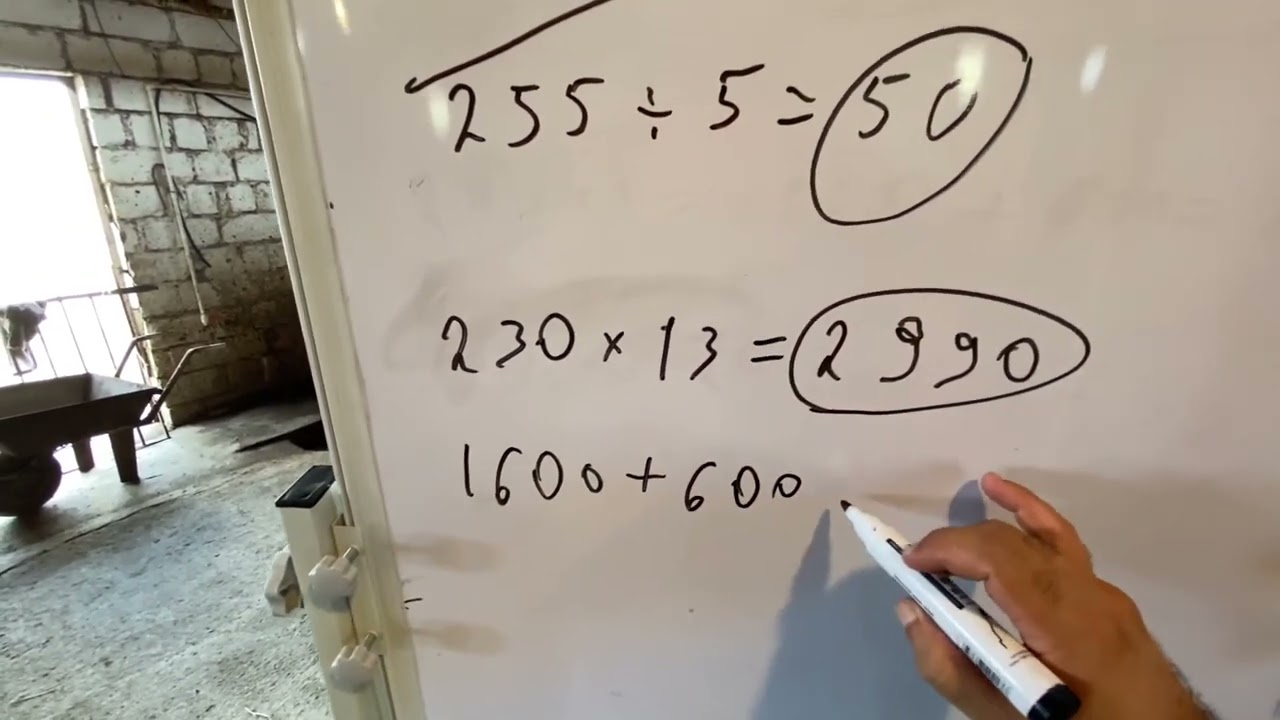 Bordaq dana ( 5 ayı tamam )