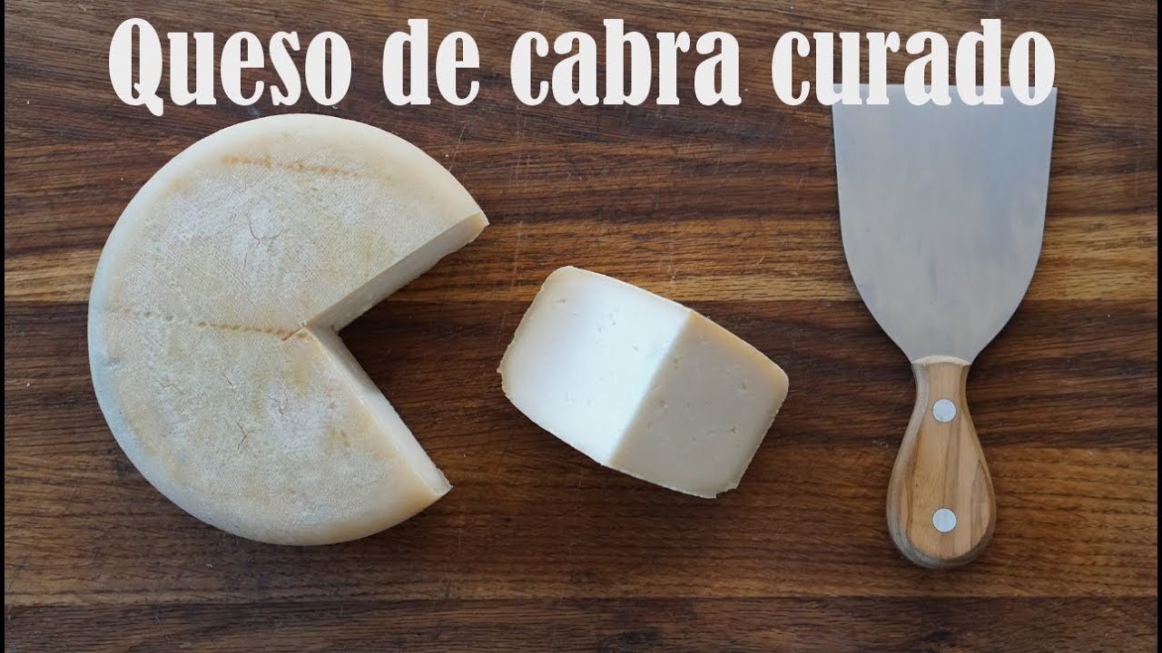 COMO HACER QUESO DE CABRA EN CASA