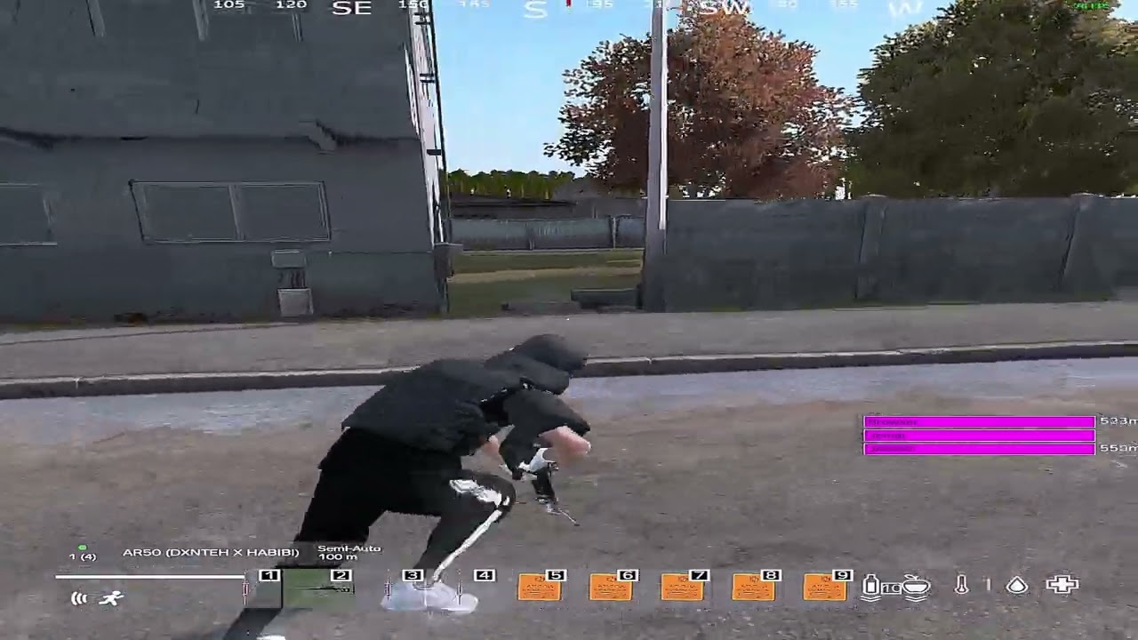 𝕵𝖊𝖒𝖆𝖑 | 𝕷𝖔𝖜 | DayZ Montage #fragmovie #dayz #montage #low