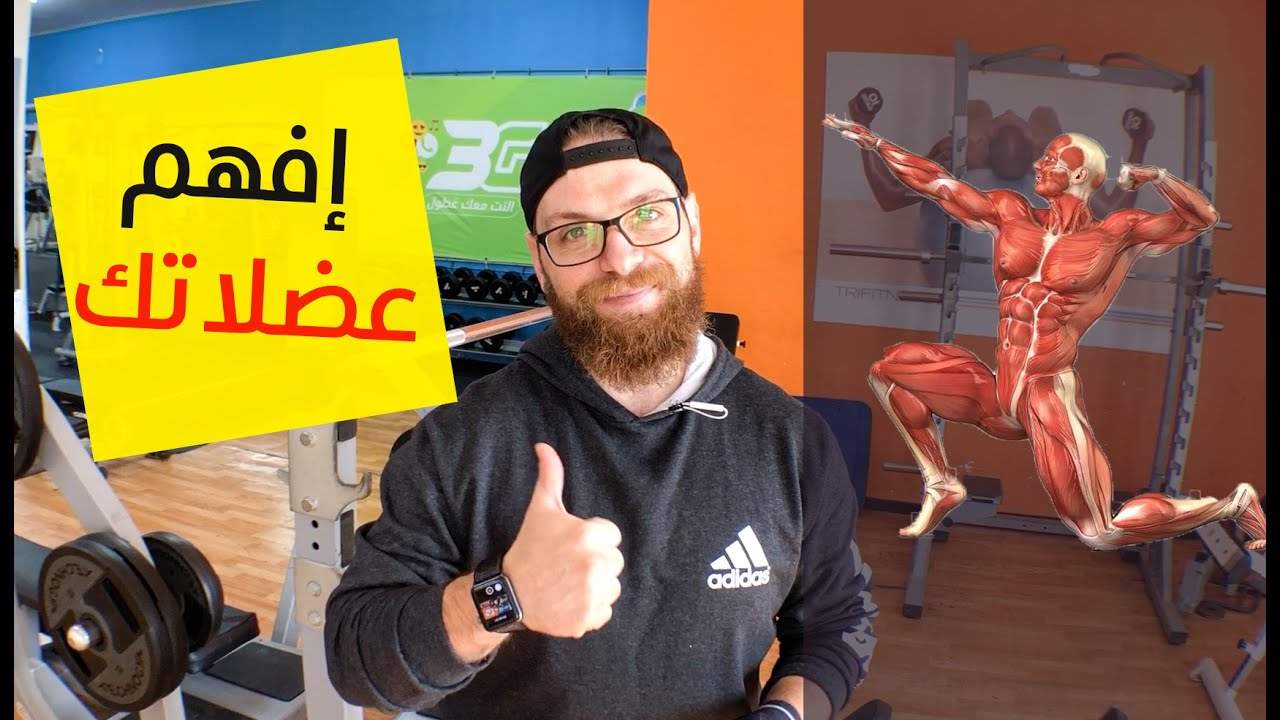 كيف تعمل العضلات؟ وما هي انواع الانقباضات العضلية How muscles work, what is muscle contractions