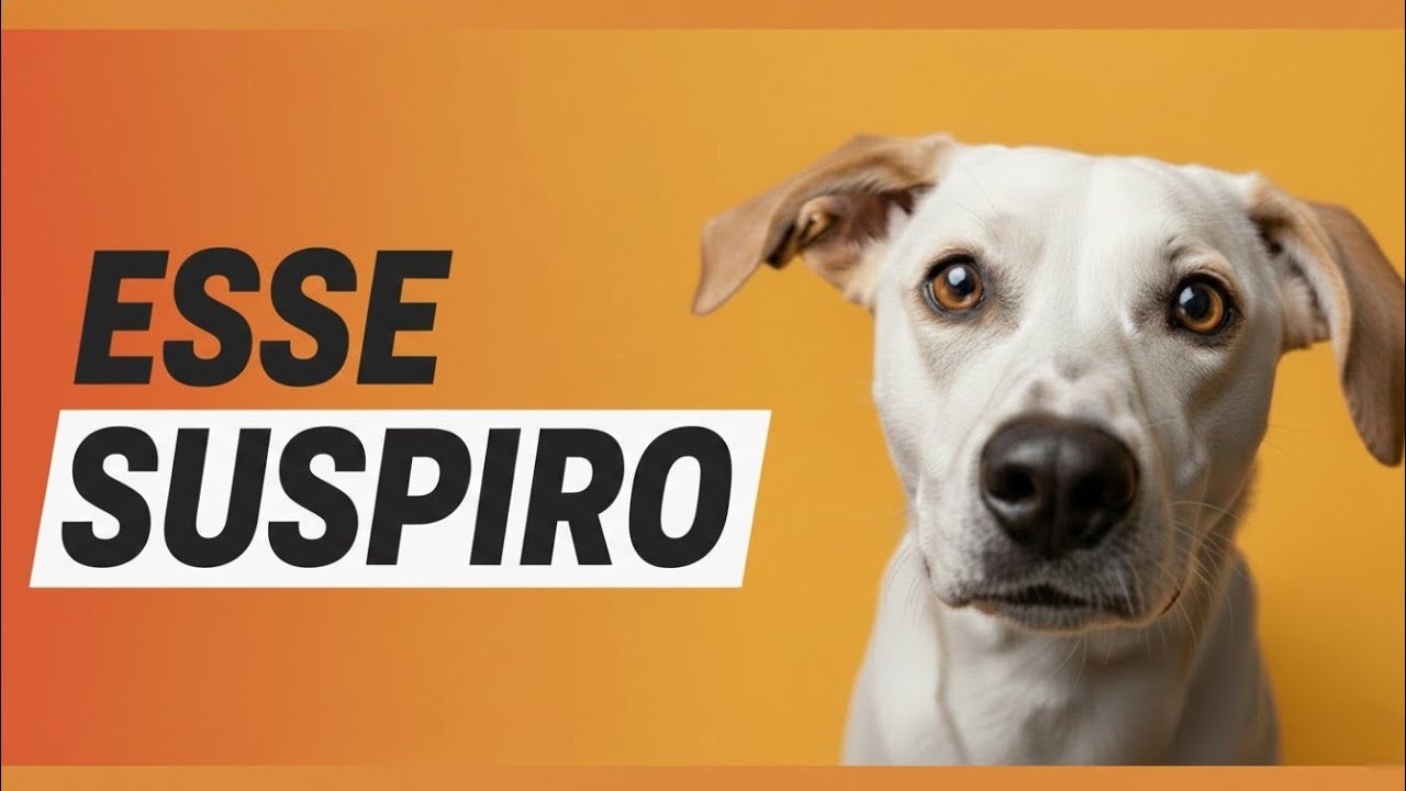 Esse suspiro do seu cachorro é normal?