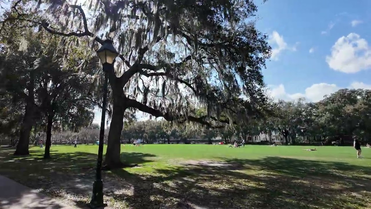 Towards West Park Avenue