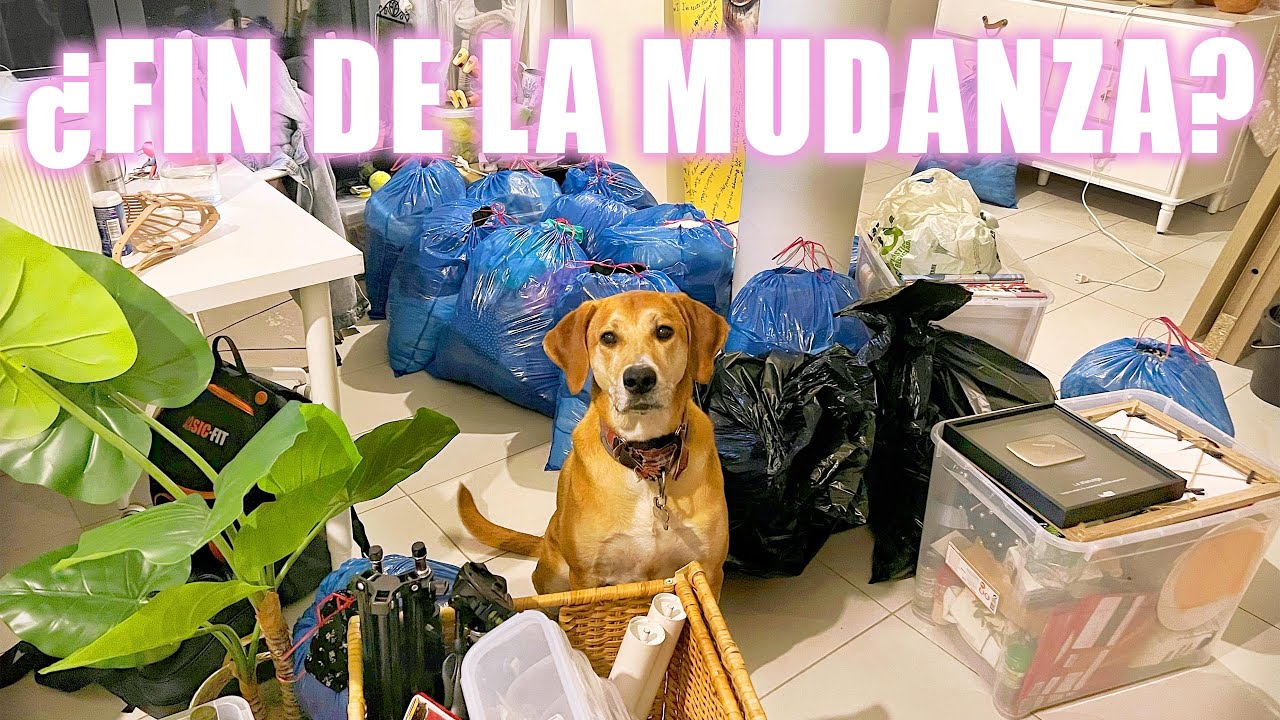 6ºWEEKLY: Llegando al límite con LA MUDANZA, TODO ME SALE MAL xo sin perder la sonrisa🤪🤪HOUSE TOUR