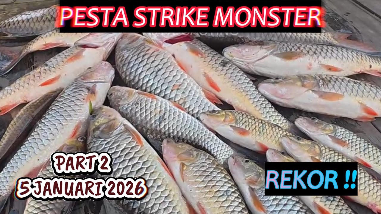 CASTING HAMPALA DI WADUK RIAM KANAN 021 #mancing #fishing #castinghampala