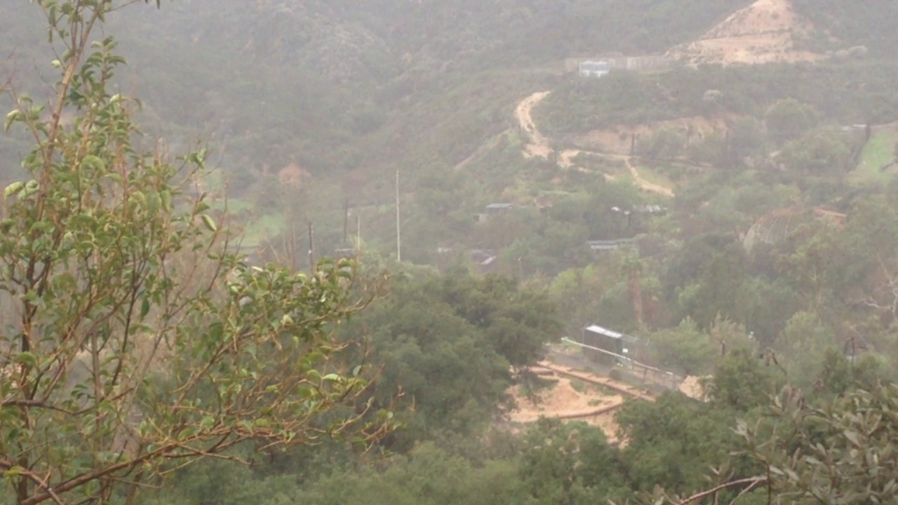 Wet and Windy at Wildlife Waystation!