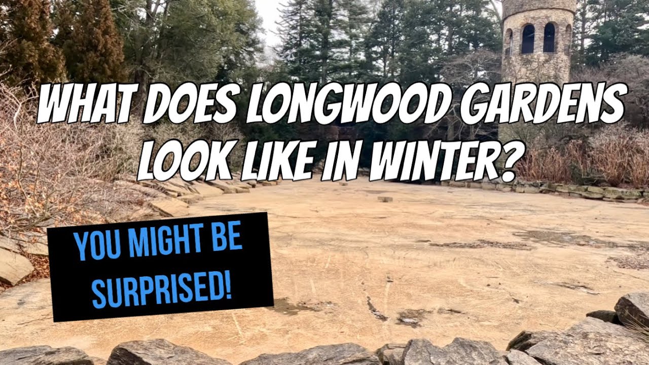 Longwood Gardens in Winter | You Might Be Surprised ❄️
