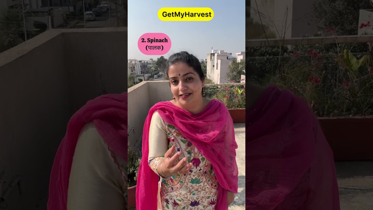 Yeh 7 sabziyan double speed par ugti hain | 7 Vegetables that grow really fast #shorts