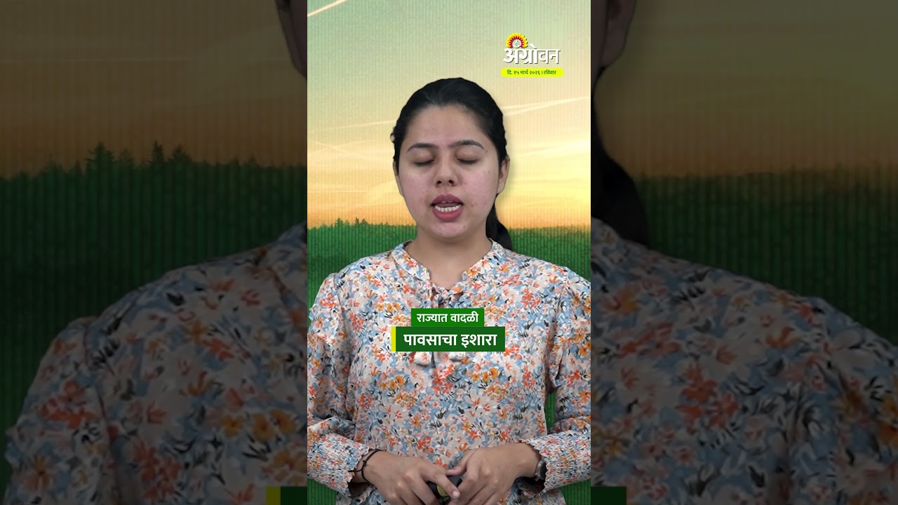Rain Alert: राज्यात वादळी पावसाचा इशारा | Agrowon