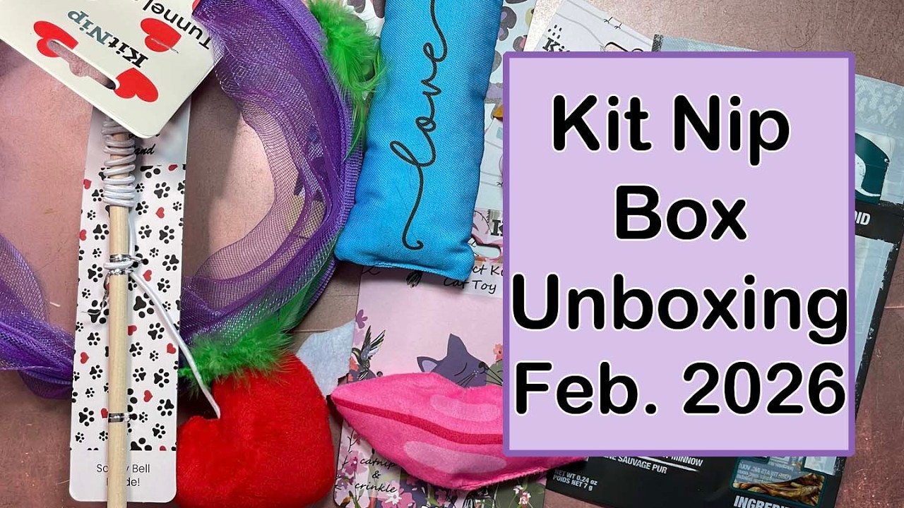 Kit Nip Box Unboxing | February 2026