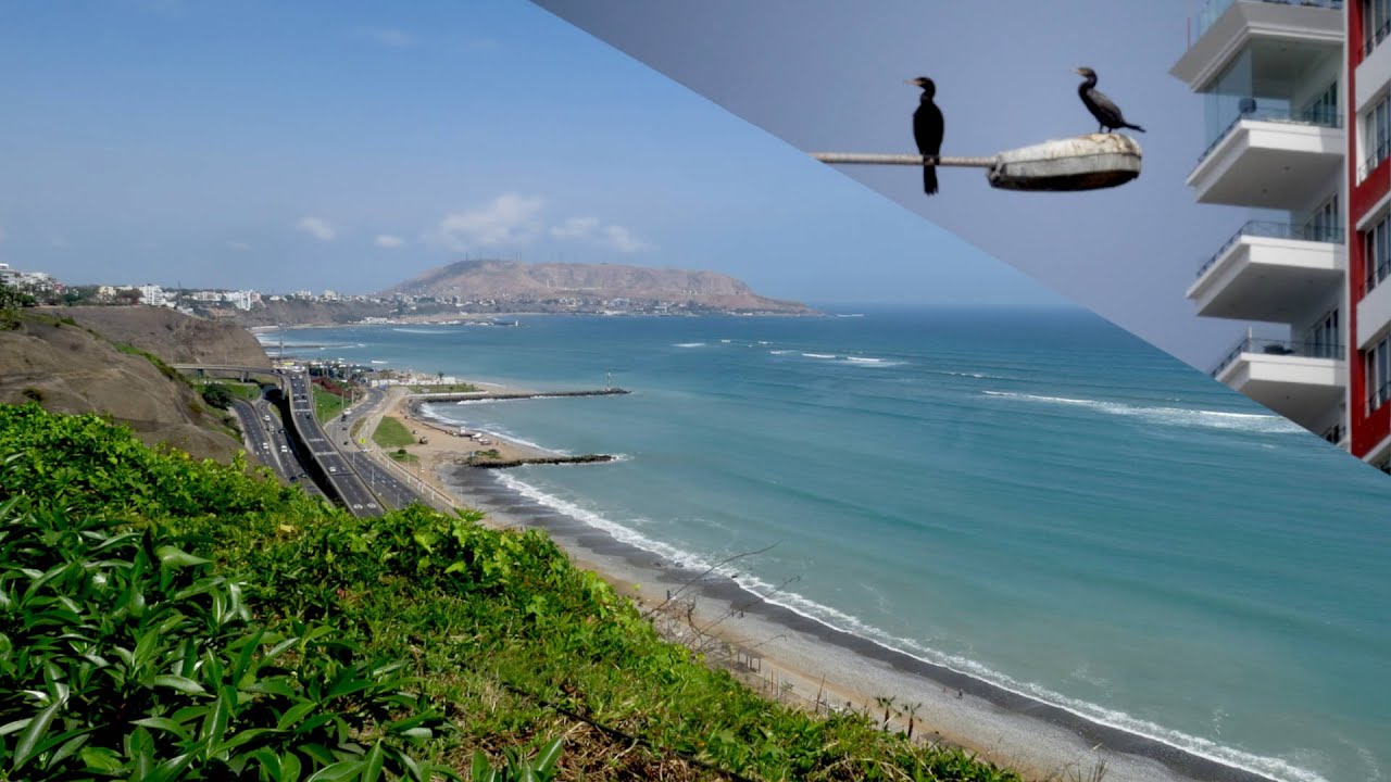 Observando aves en la Costa Verde - Lima (Perú)