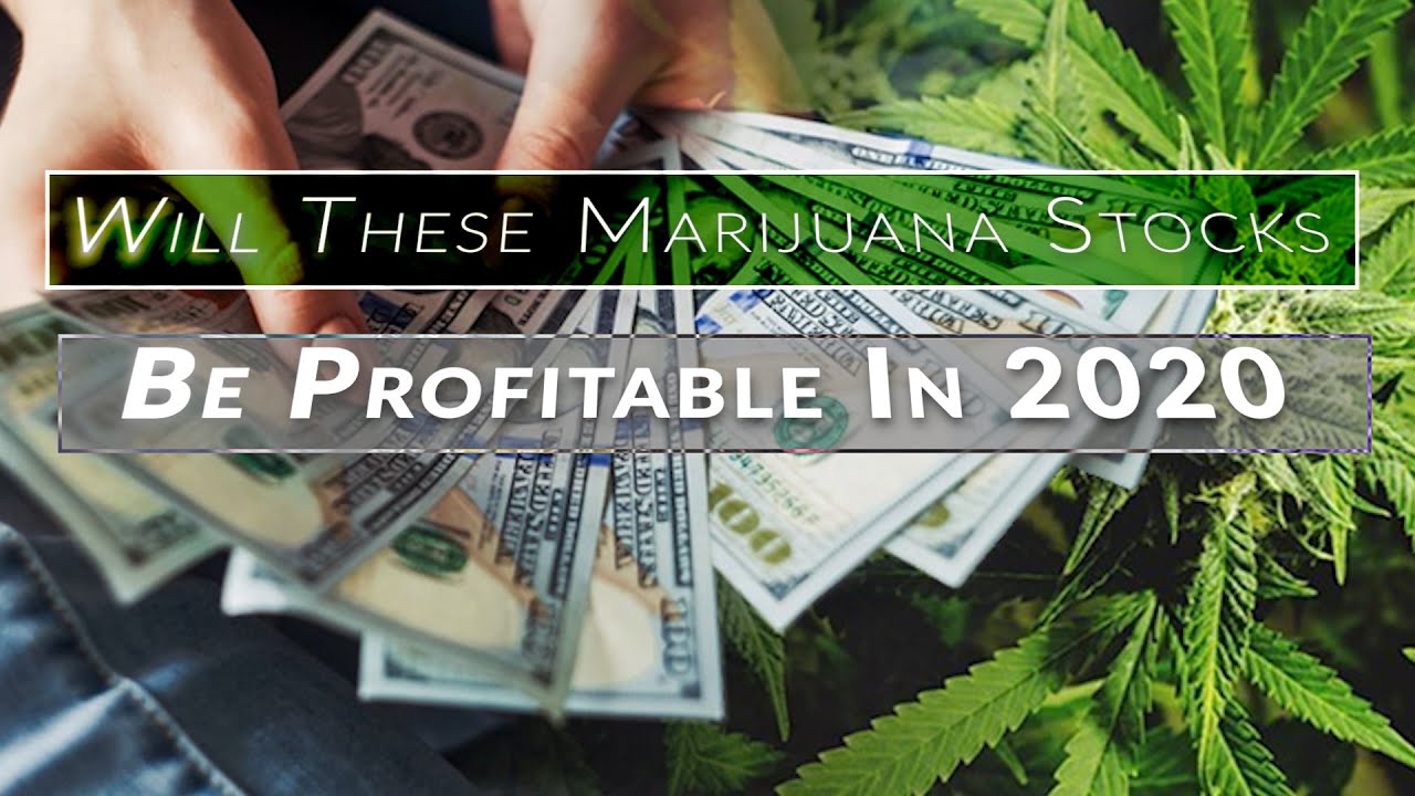 Will These Marijuana Stocks Be Profitable In 2020