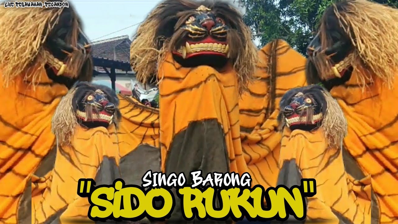 TERBARU❕ Singo barong SIDO RUKUN Live Pesawahan - Pegandon #terbaru #sidorukun #barongan