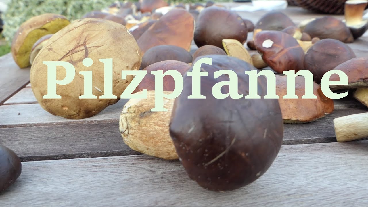 Leckere Pilzpfanne zubereiten