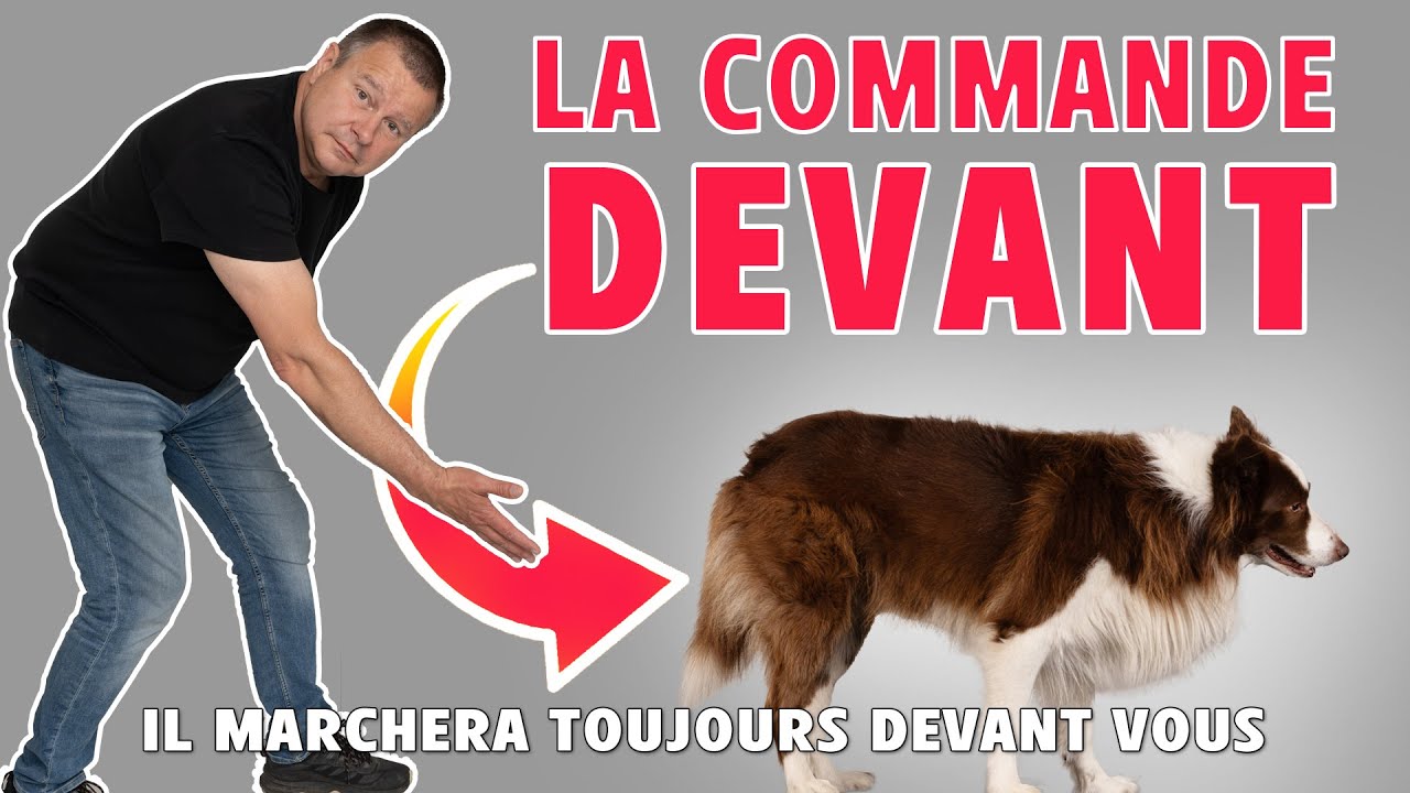 APPRENDRE A MARCHER DEVANT