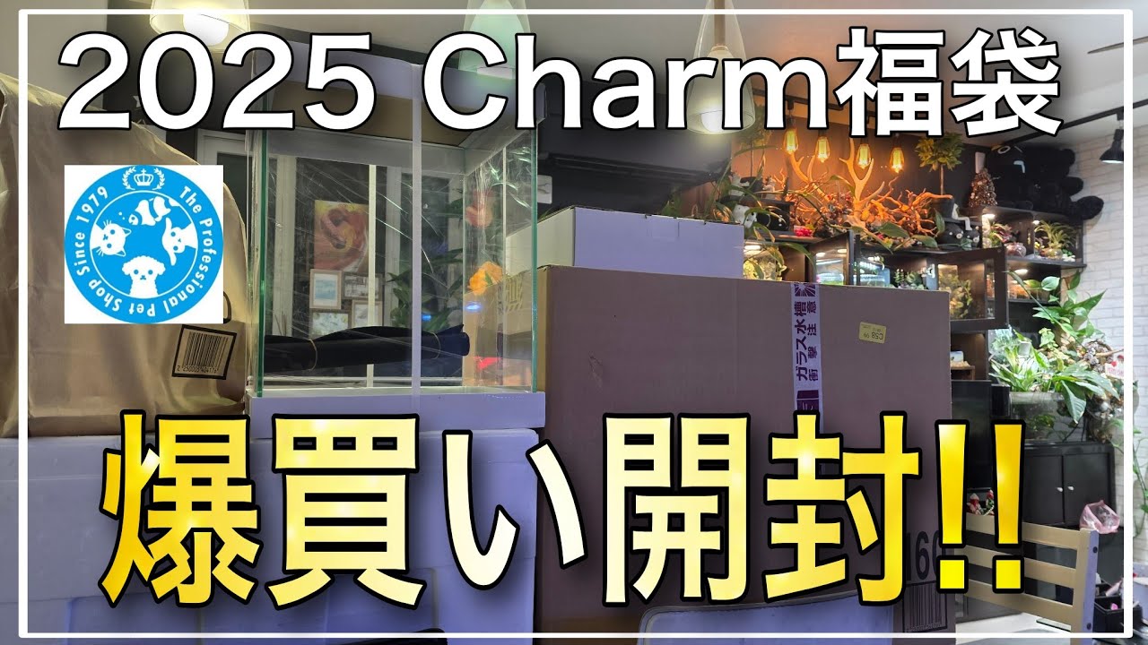 Charm福袋は当たり⁉個人的に爆買いした福袋を開封します‼　aquarium　アクアリウム　熱帯植物　熱帯魚　水草　流木　メダカ　金魚　サンゴ　海水