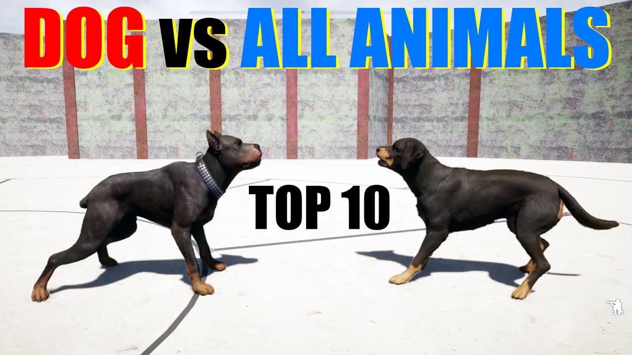 Far Cry 5 Arcade - Animal Fight (Top 10) Dog vs All Animals Battles