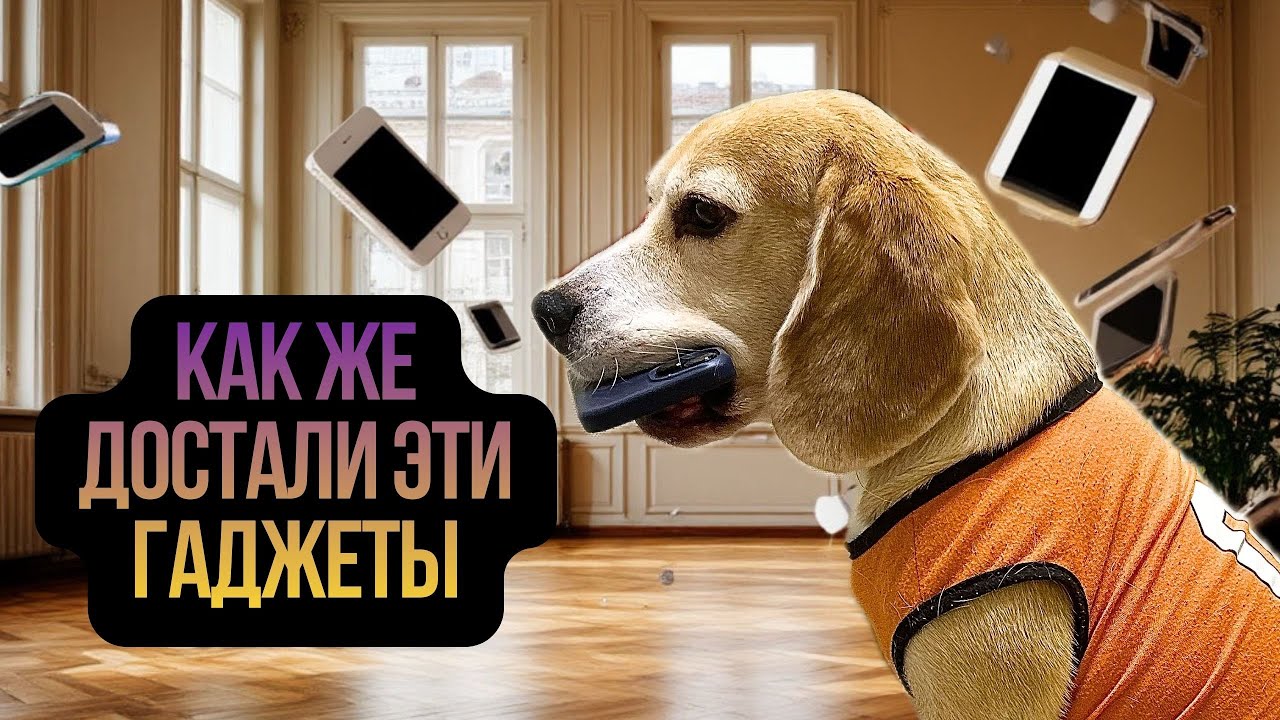 ЛЕЧЕНИЕ ГАДЖЕТОМАНИИ. КУРС ОТ БИГЛЯ