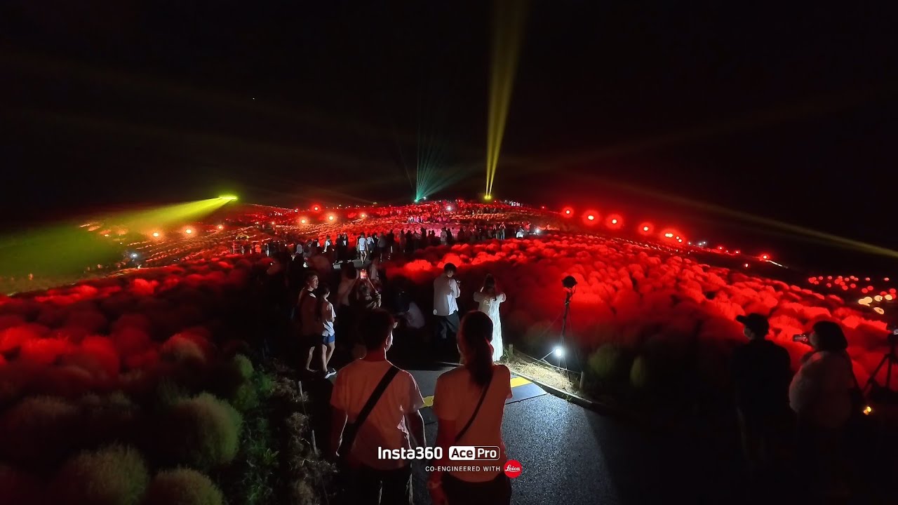 ひたち海浜公園 コキア ライトアップ -FLY AGAIN- MAN WITH THE MISSION 2025/9/15