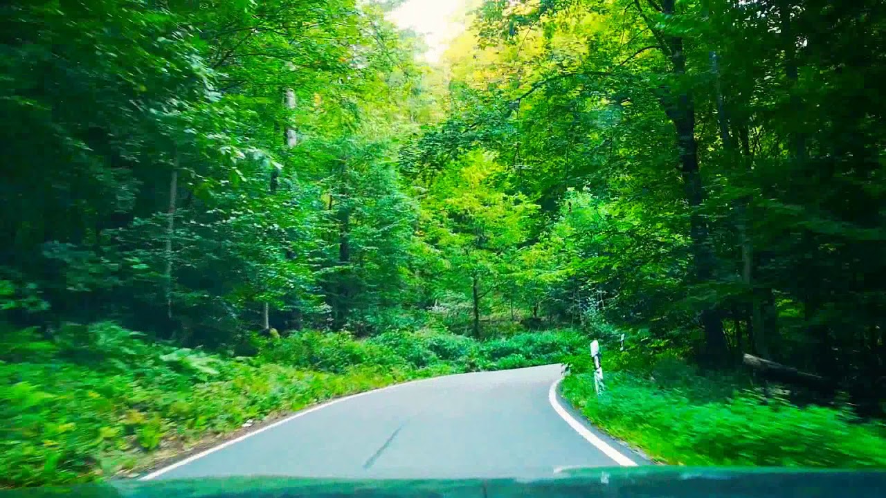 Orman Yolu