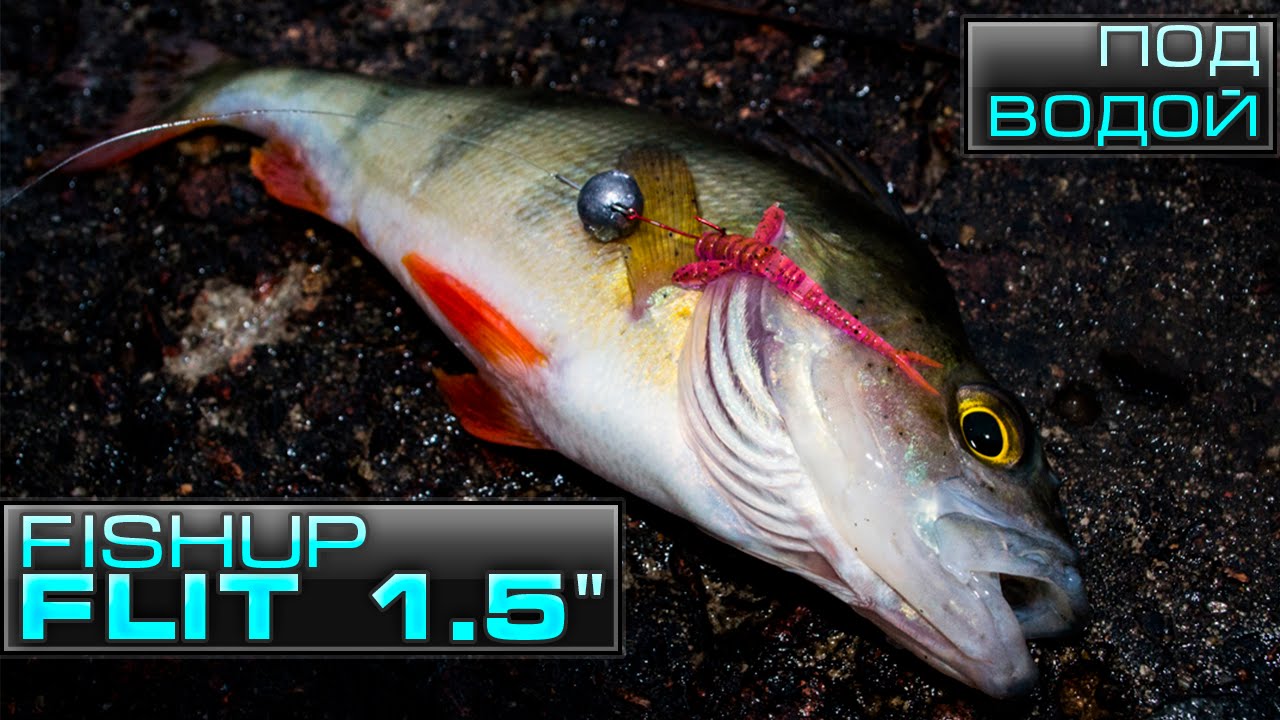fishup flit - съедобная резина фишап под водой