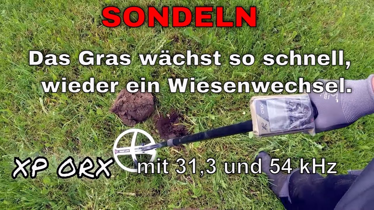 Sondeln - mit dem XP ORX auf anderer Wiese. Mit dem Metalldetektor