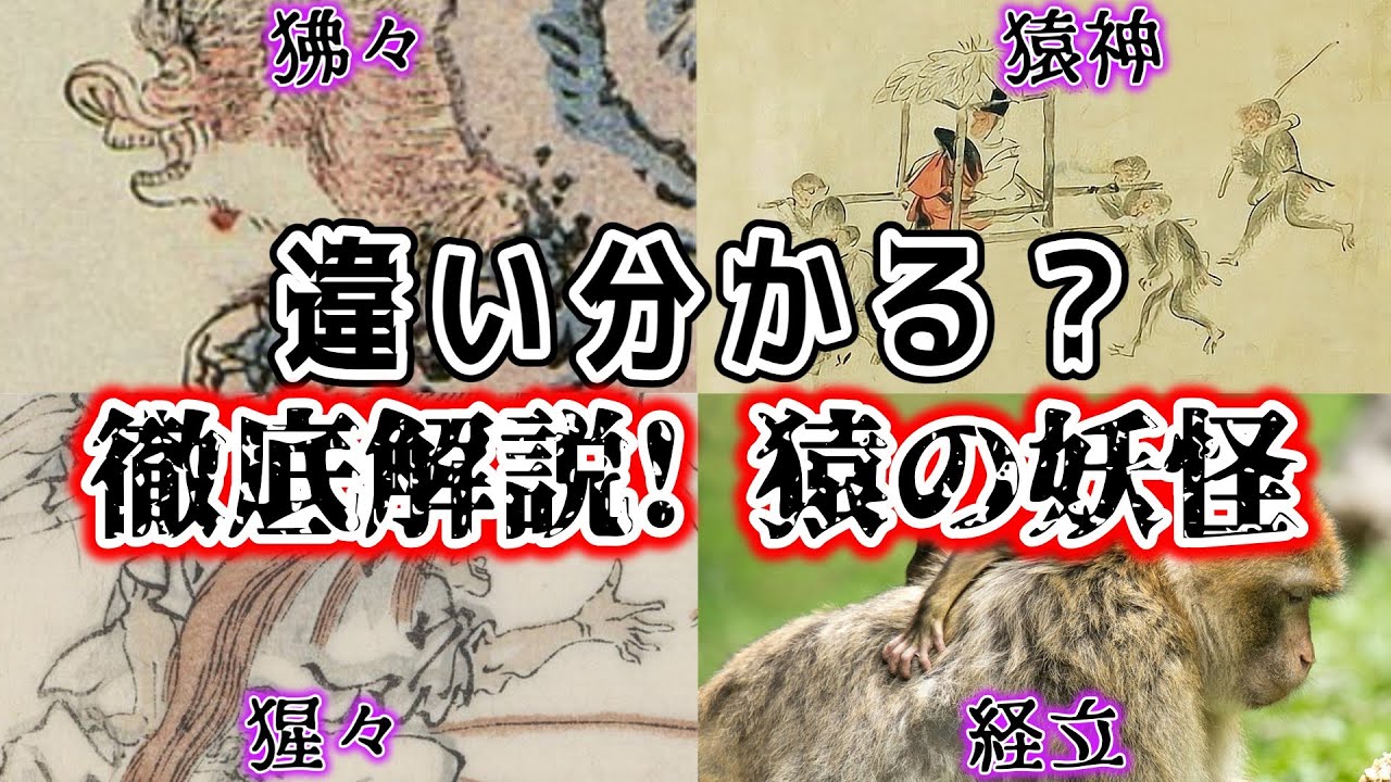 【妖怪】キミは全部知ってる？猿の妖怪大解説！【みこ主任】