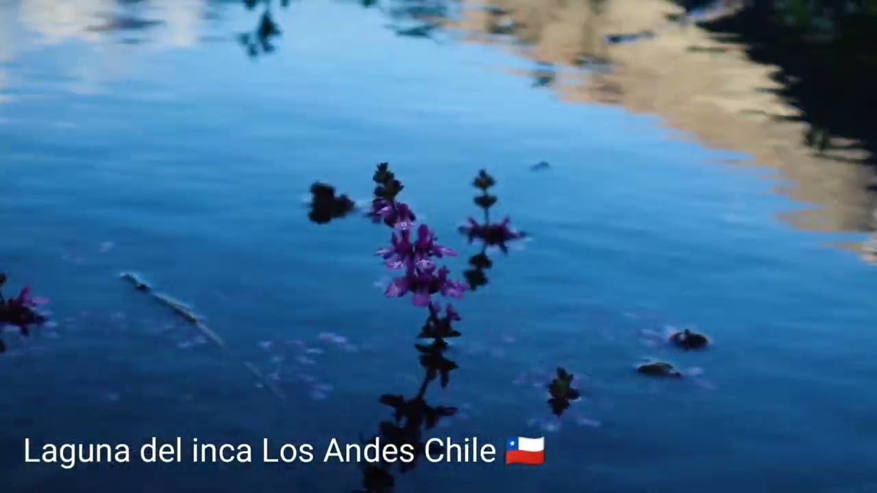 Laguna del inca, Los Andes Chile
