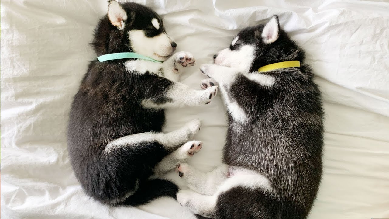 We might keep two..