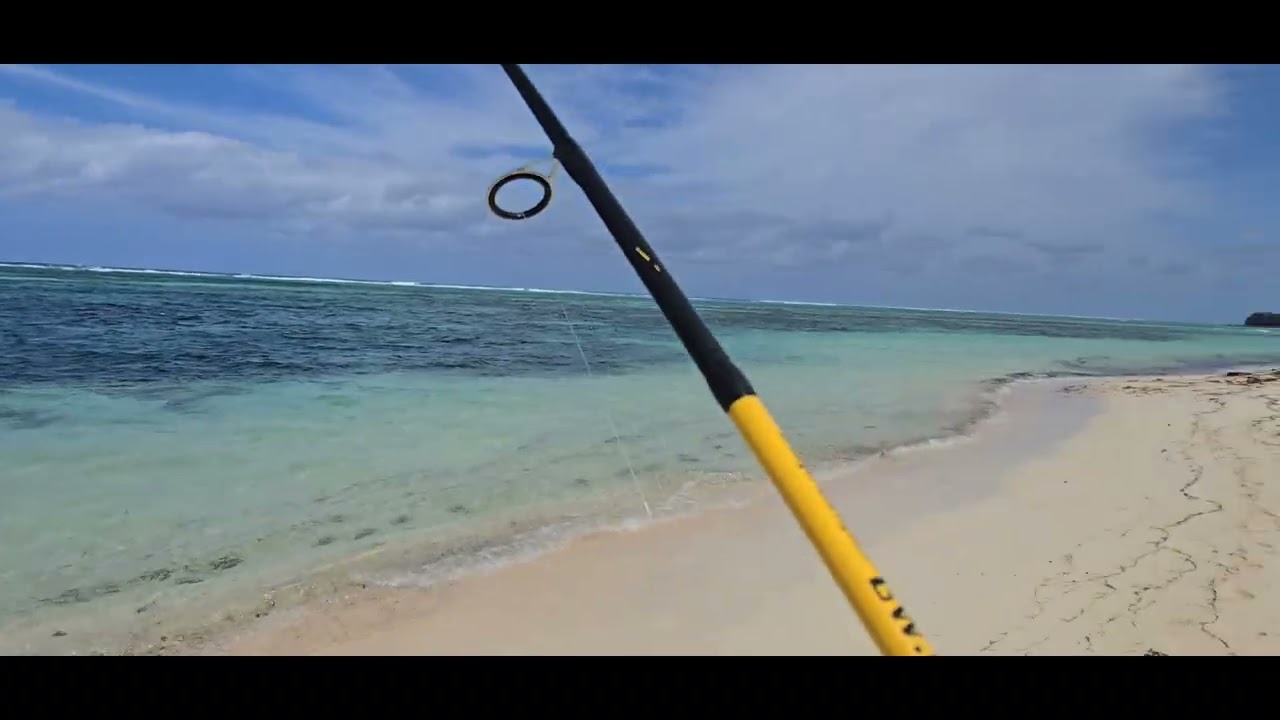 AFTER MY SICKNESS BACK TO FISHING GUY'S. 🥰🙏🎣🐟🐠