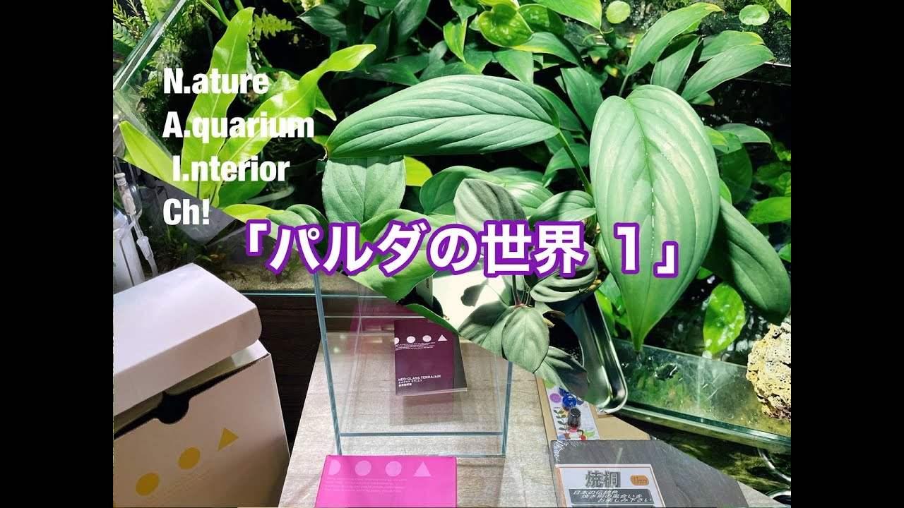 パルダの世界 1