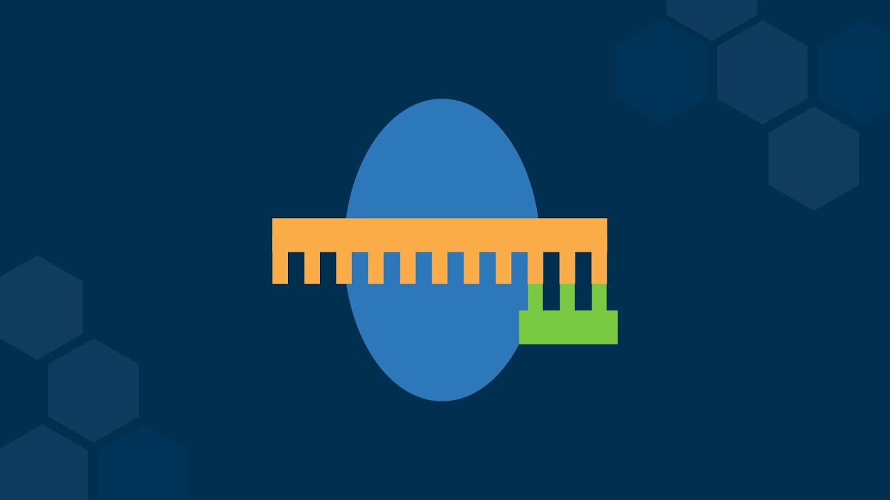 Priming DNA Replication