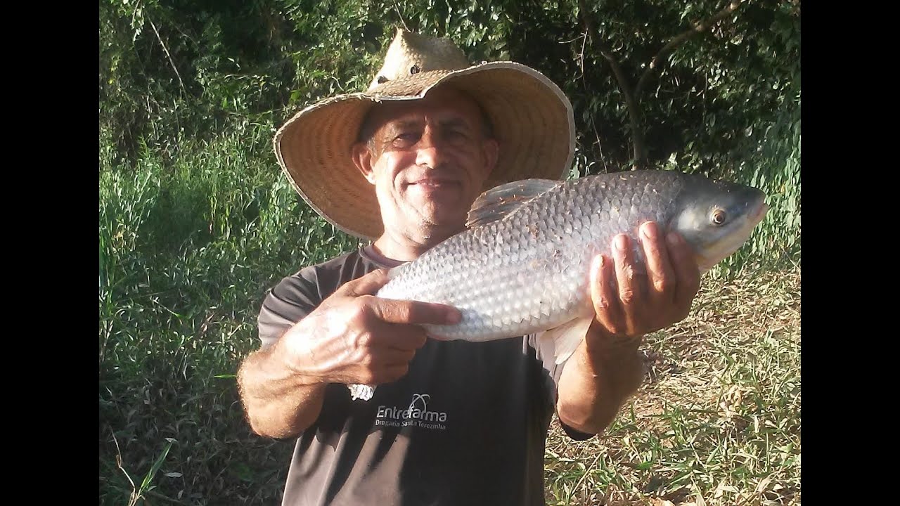 PESCARIA NO RIO SÃO FRANCISCO EM TRÊS MARIAS - PARTE 2
