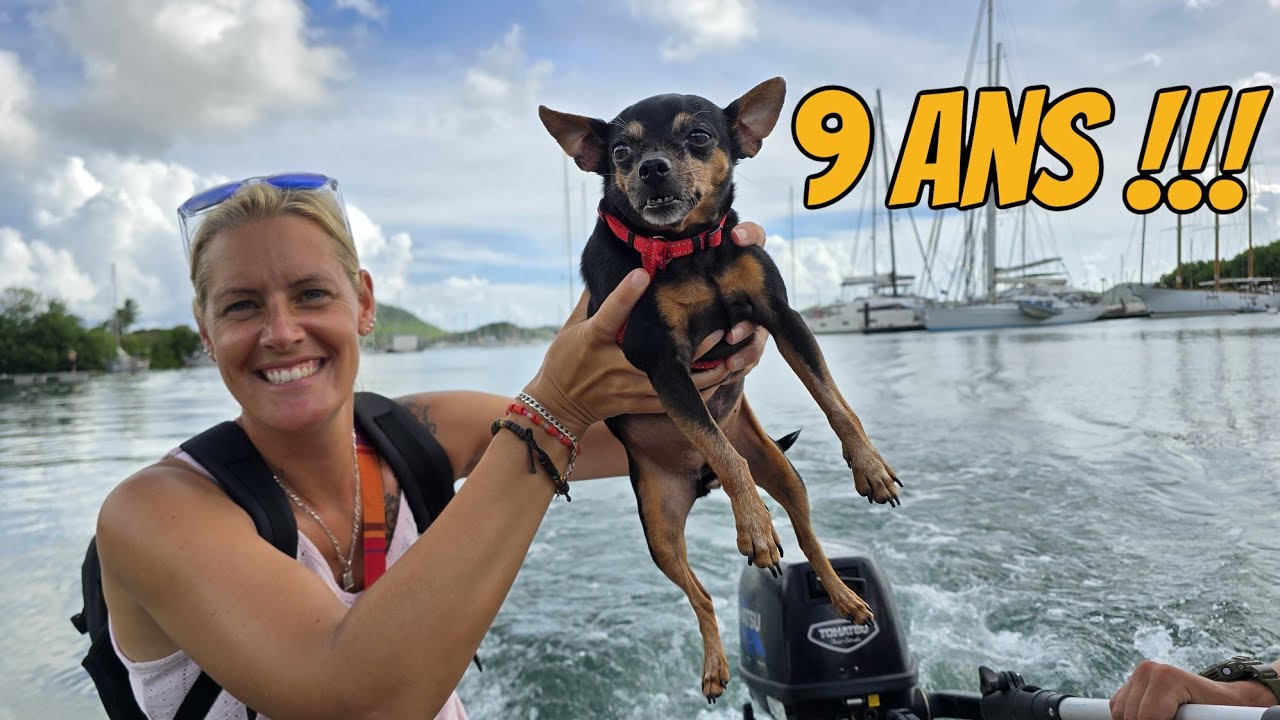 60 jours 60 vid&eacute;os J-28 Petit chien nomade f&ecirc;te ces 9 ans !!!