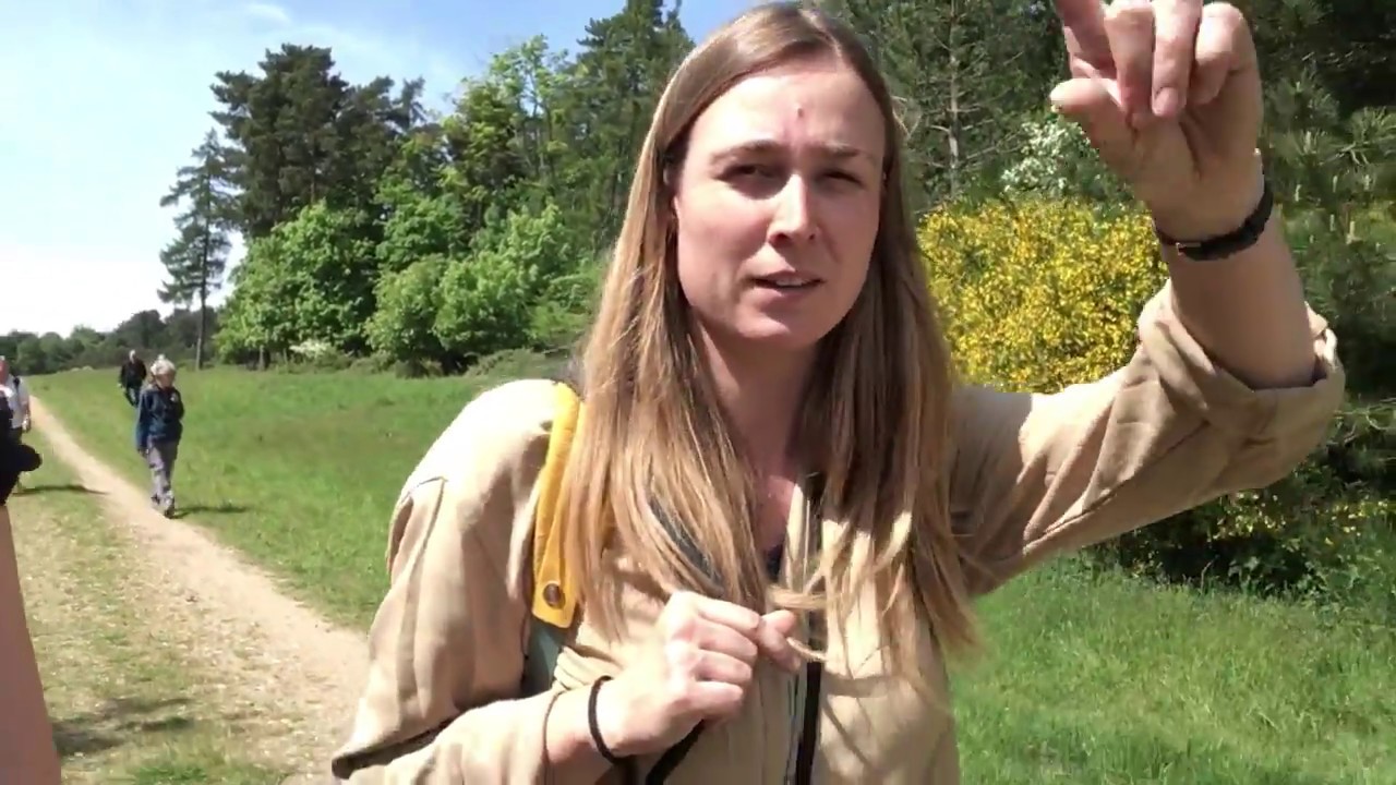 Find out what we do in the Brecks in East Anglia