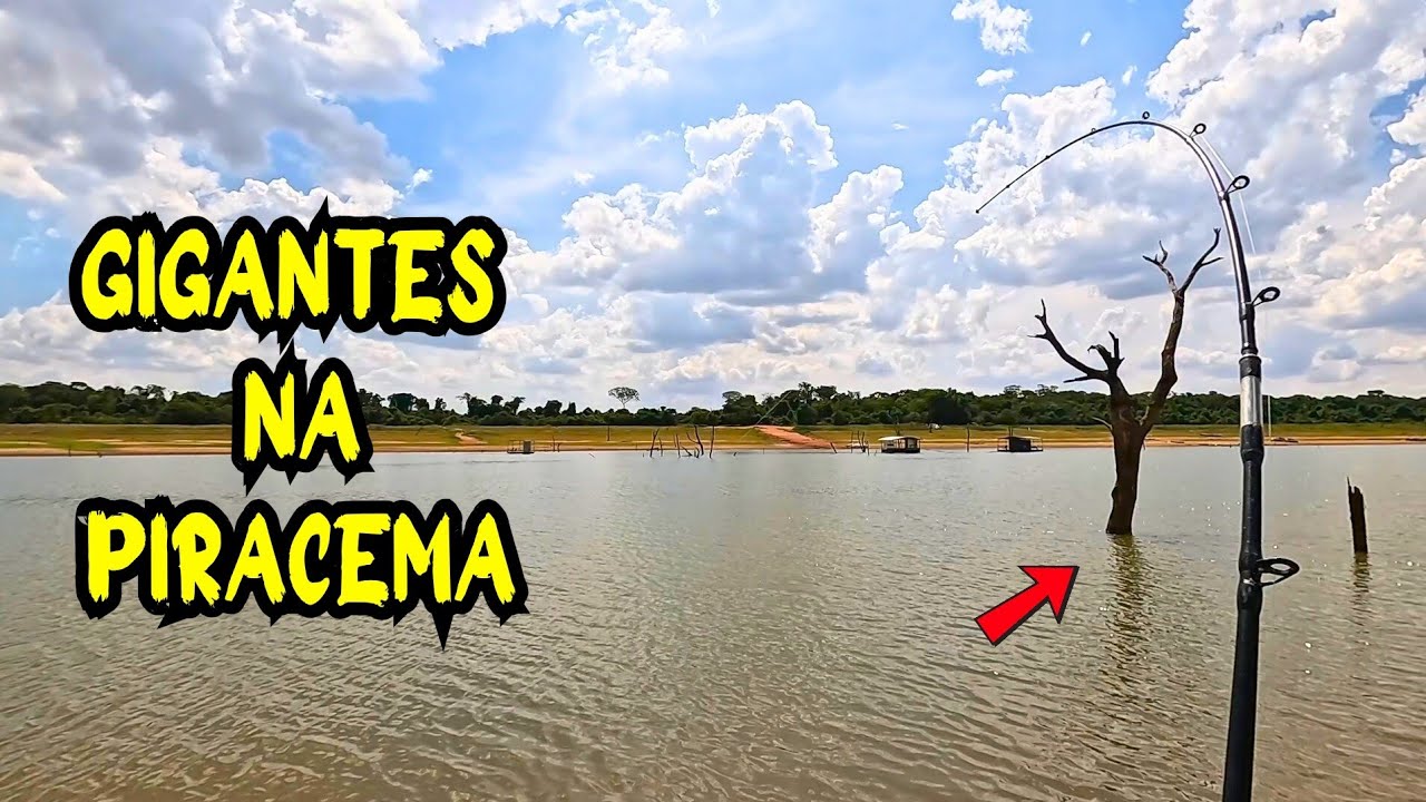 TUCUNARÉ GIGANTE e PORQUINHO! Você não vai acreditar PESCARIA RAIZ no Abóbora — em plena PIRACEMA!