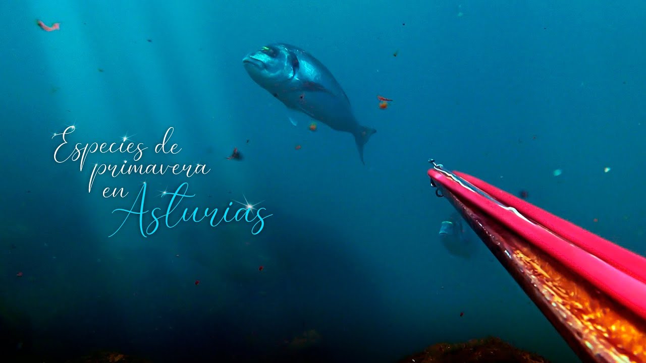Especies de primavera en Asturias
