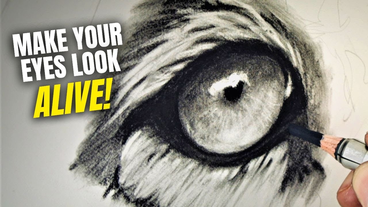 12 Simple Steps for Drawing Realistic Animal Eyes