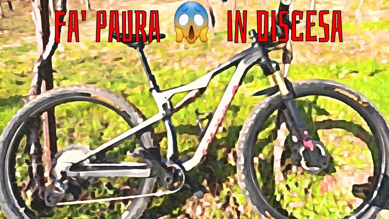 La mia MTB da gara fa' paura  in discesa 