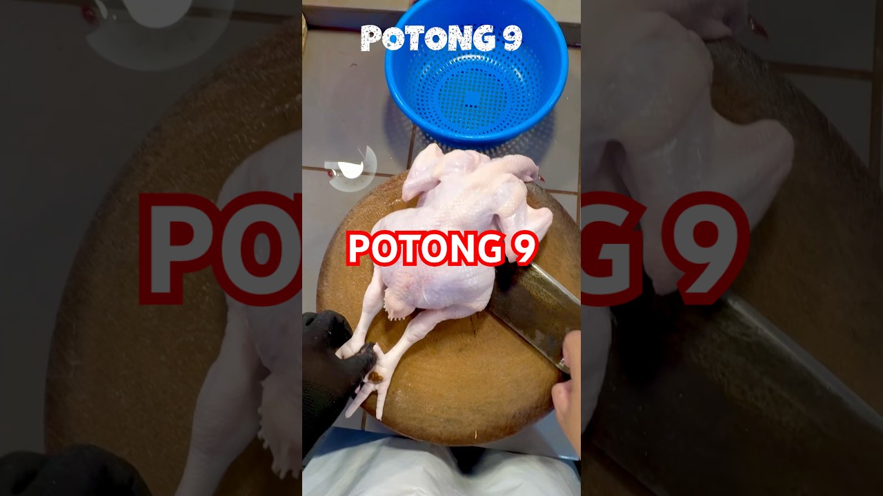 #ayamsegar #selayang #potongayam #kualalumpur #cooking #meat #freshchicken #freshmarket #ayamgoreng