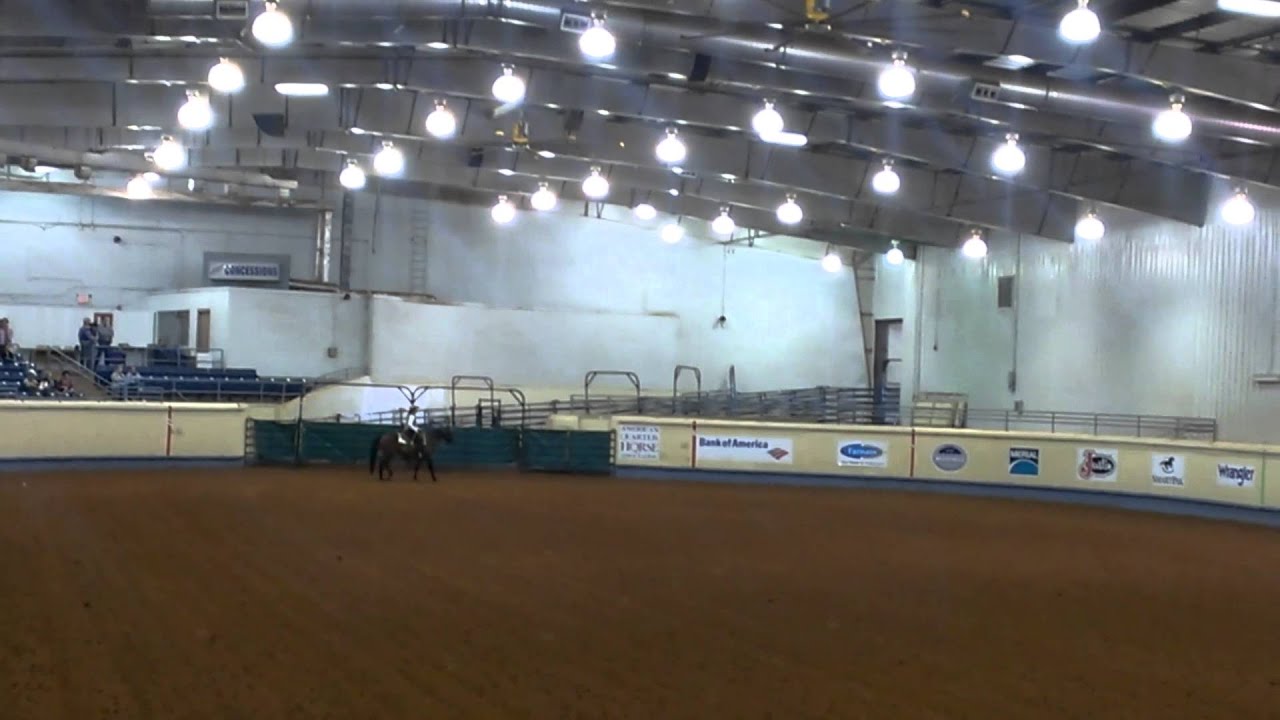 2012World Show Ranch Pleasure-Robin Morris Walters