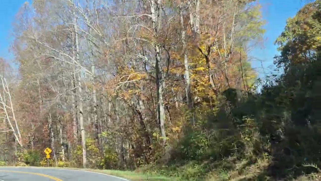 Smoky Mountain National Park