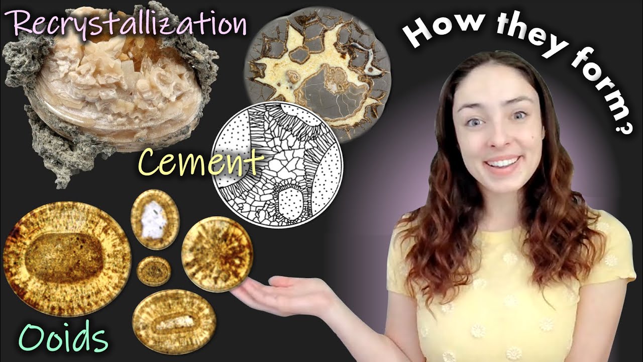 Chemical Sedimentary Rock Textures: Cement, Replacement, Veins, Oolites / Sed Strat #5 | GEO GIRL