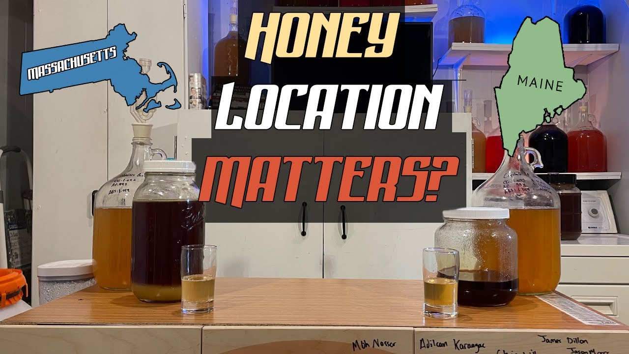 Honey Location Matters? Blueberry Honey Test