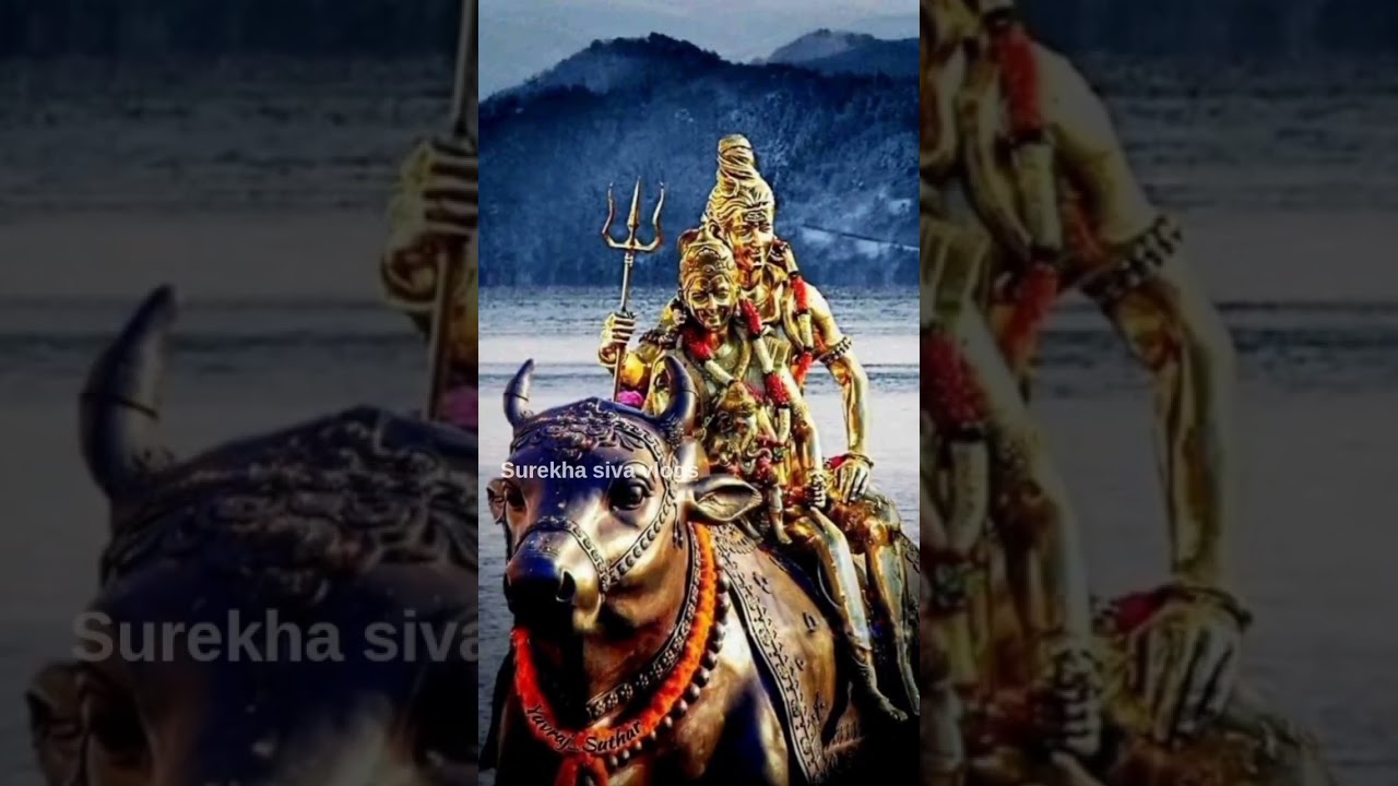 #shorts Om namah shivaya 🙏🏻🌿🥥🍎🍌 #shots #youtubeshorts #shiv #shiva #harharmahadev #surekhasivavlogs