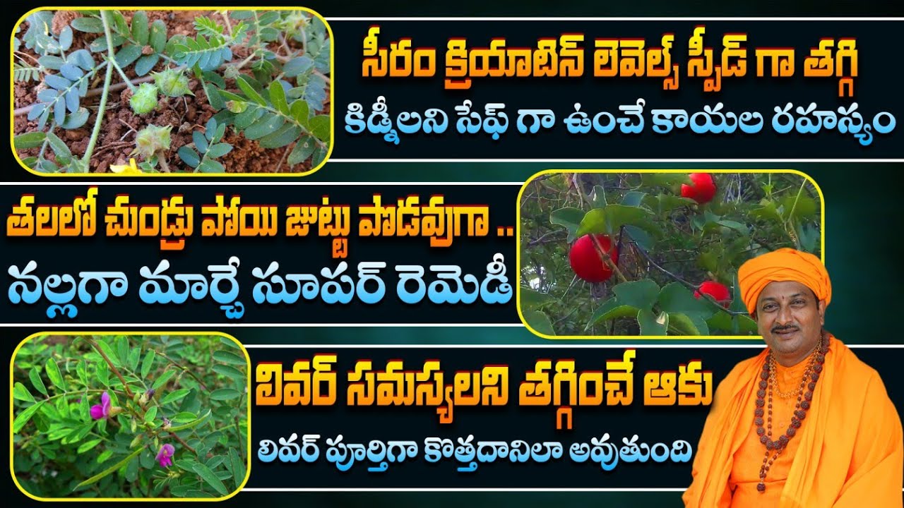 క్రియాటిన్ లెవెల్స్  తగ్గి తలలో చుండ్రు పోయి జుట్టు పొడవుగా నల్లగా మార్చే రెమెడీ | Dr. Ravivarma