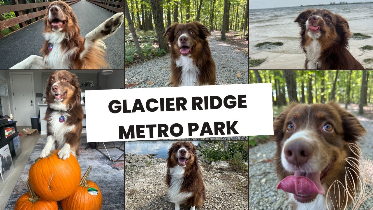 Glacier Ridge Metro Park | Hiking Trails & Outdoor Adventure in Columbus Ohio