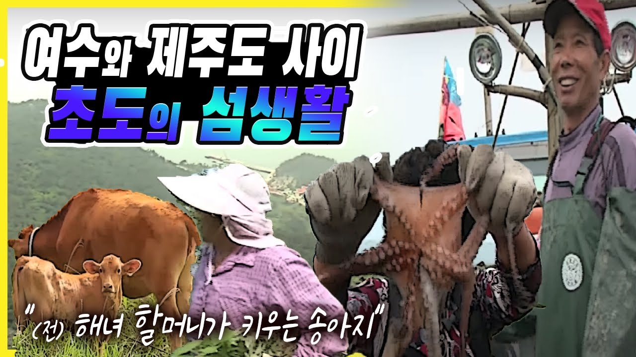 여수와 제주도 사이 초도의 섬생활 /나의 살던 고향은 여수 초도 / 해녀들이 운영하는 먹거리 타운 / 여수 365개 섬이야기 초도 /해녀할머니가 키우는 소  [그곳,그사람]