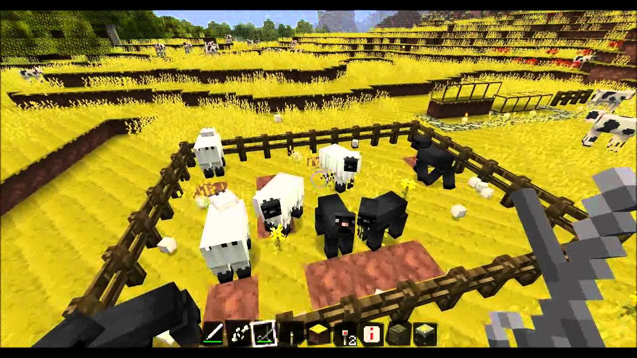 NEW Wool Regrowth...and NEW Sheep Breeding Farm ideas!