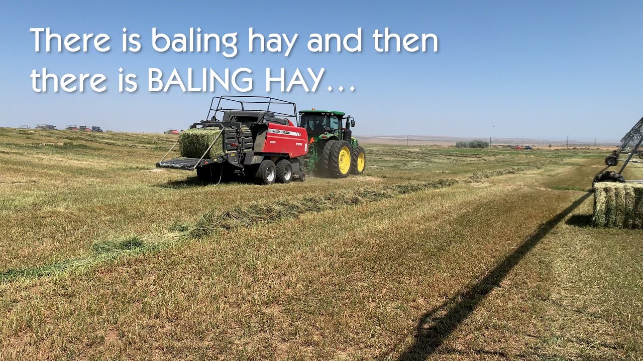 Farmington NM Baling Hay