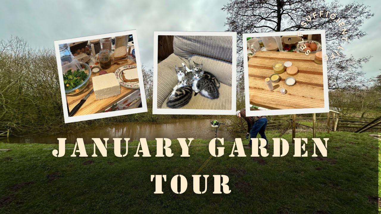 January Garden Tour || Seedling Update